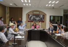 Dictaminan en comisiones la iniciativa a favor del derecho a la conectividad