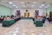 TURNA CABILDO A COMISIONES UNIDAS INICIATIVA PARA PROHIBIR PERMISOS PARA VENTA DE PIROTECNIA