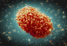 Se registran 788 contagios de viruela del mono en México: Secretaría de Salud