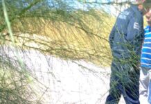 LOCALIZA POLICÍA MUNICIPAL A ADULTO MAYOR EXTRAVIADO EN LA COLONIA MIRAVALLE