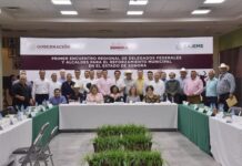 EXPONEN DELEGADOS CARTERA DE SERVICIOS A ALCALDES DEL SUR DE SONORA