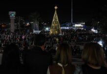 CAJEME SE ILUMINA CON EL TRADICIONAL ENCENDIDO DEL ÁRBOL NAVIDEÑO
