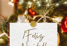 Feliz Navidad y Próspero año nuevo les desea H.Ayuntamiento de Yécora