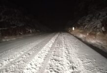 ALERTA CARRETERA anuncian el cierre de circulación de la carretera Ímuris- Cananea