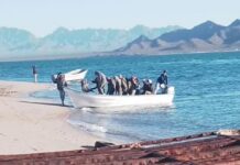 Rescatan con vida a pescadores seris extraviados en las inmediaciones de la Isla del Tiburón: Protección Civil Sonora