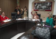 Aprueban en Comisión eliminar conductas discriminatorias a mujeres que amamantan en espacios públicos