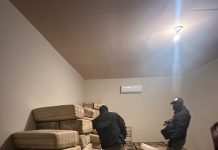 Mesa Estatal de Seguridad asegura más de una tonelada de marihuana en San Luis Río Colorado