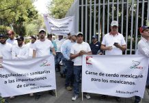 Los porcicultores mexicanos se manifestaron en la Secretaría de Economía con la consigna: AMLO no dejes morir a la porcicultura de México