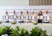 Impulsa gobernador Alfonso Durazo proyecto turístico Macrorregión Mar de Cortés