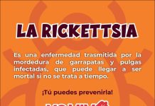 Salud Sonora llama a prevenir e identificar síntomas de rickettsia