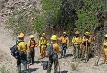 Coordina Protección Civil Sonora ataque a incendio forestal en sierra entre Bacerac y Bavispe