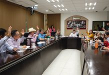 Aprueban en comisiones proyecto de sistema universal de becas