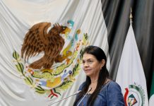 PRESENTA DIP. ERNESTINA CASTRO ADICIONES A LA LEY DE SALUD, EN MATERIA DE PRÁCTICAS DE LA MEDICINA ESTÉTICA