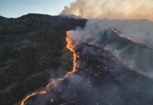 Se trabaja intensamente contra las llamas, en coordinación con Conafor y varias entidades de gobierno