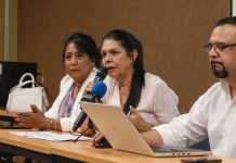 Iniciativa en materia de seguridad privada busca justicia laboral: Dip. Ernestina Castro