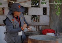 Acumula Gobierno de Sonora casi medio millón de acciones contra el dengue