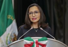 Piden frenar impunidad de asesinatos contra policías: Bancada Naranja