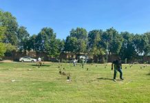 Contribuye UTS a la reforestación y combate del calentamiento global