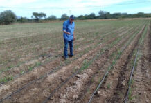 Cajeme será sede del “Primer Foro Regional de Reconversión Productiva”