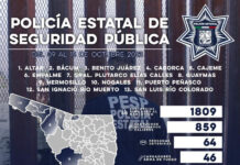 Incauta Policía Estatal más de mil 809 dosis de narcótico en acciones contra el narcomenudeo en Sonora