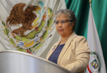 Plantean en Congreso de Sonora mayores penas contra la violencia familiar