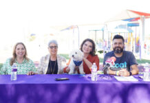 Realizará Gobierno de Sonora junto a A.C. Animaleras el Primer Festival Perruno con Causa