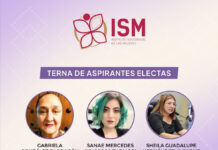 Aprueban terna para la titularidad del ISM