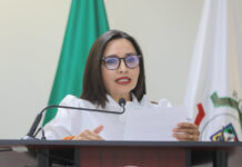 Proponen en Congreso de Sonora mayores penas por el delito de tráfico de menores