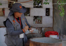 Sin casos positivos de dengue se mantiene Sonora este año: Salud Sonora