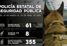 Policía Estatal detiene a 61 personas en flagrancia delictiva durante operativos en Sonora