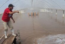 COSAES LLEGARÁ EN JULIO A 22 ANIVERSARIO