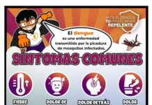 Salud Sonora llama a mantener hogares limpios para prevenir enfermedades como dengue y Rickettsiosis