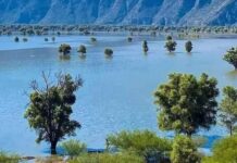 La Laguna de Metztitlán en Hidalgo, renace con las lluvias.
