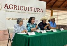 Trabaja Gobierno de Sonora en reconversión de cultivo y apoyos para productores de Sonora*