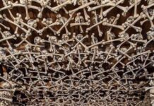 El increíble interior de la Capilla de las Calaveras en Polonia.