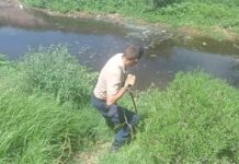 RESCATAN UN COYOTE HERIDO, ATRAPADO EN UN CANAL DE AGUA.