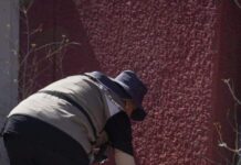 LLAMA SALUD SONORA A ELIMINAR CRIADEROS DE MOSQUITOS Y PREVENIR EL DENGUE