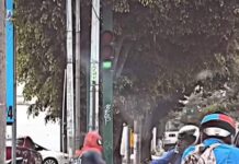 Spiderman pierde el control y se enfrenta a un repartidor de comida.