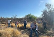 Fortalece Creson acciones para el cuidado ambiental con estrategia “Creson Sostenible