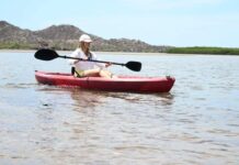 Gobierno de Sonora Impulsa el Ecoturismo y la conciencia ambiental en Estero «El Soldado»