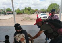 INVITA SALUD MUNICIPAL A CAMPAÑA DE VACUNACIÓN ANTIRRÁBICA PARA MASCOTAS