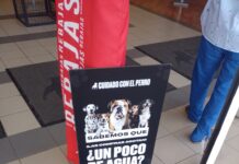 TIENDA DE ROPA EN CIUDAD OBREGÓN LE COLOCA AGUA A LOS PERRITOS CALLEJEROS