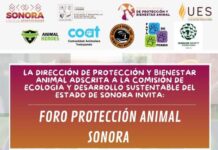 Anuncia el Gobierno de Sonora Primer Foro de Protección Animal