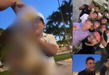 Sujetos obligan a perrito a tomar cerveza en Yucatán y lo presumen en redes sociales.