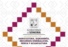 Lanza Sagarhpa convocatoria para ocupar la Dirección General Forestal y de Fauna Silvestre* *