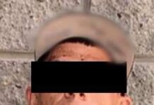 Incauta Policía Estatal sustancias prohibidas y recupera vehículos robados*