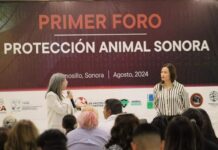 Inicia el Primer Foro de Protección Animal en Sonora