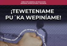 Fortalece SEC Sonora campaña para visualizar la violencia contra la mujer indígena