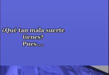 encuentras tu auto destrozado y piensas que fueron unos delincuentes; y si, pero era una banda de perritos.