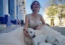 Perrito callejero interrumpe una sesión de fotos de una quince